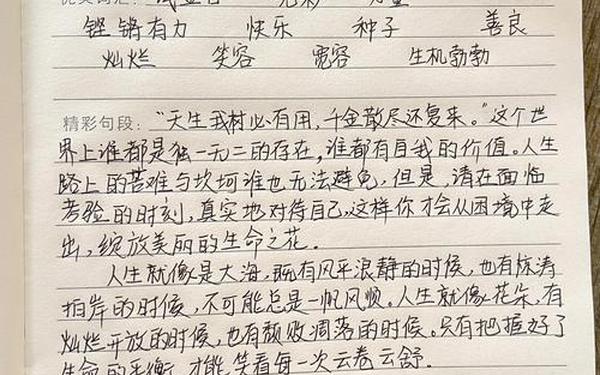 20篇读书笔记摘抄及感悟-读书笔记(精选30篇)