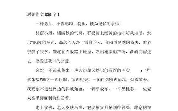 初中优秀记叙文600字作文;遇见600字记叙文