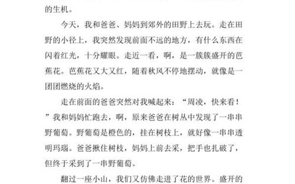 秋天作文600字初中-夏天的作文600字作文