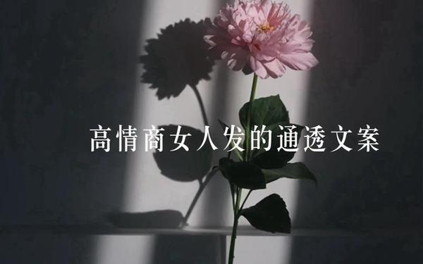 女人发抖音最火的句子—2025女人抖音最火文案