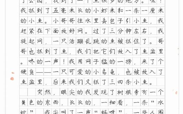 小学生周记范文、四年级周记范文300字