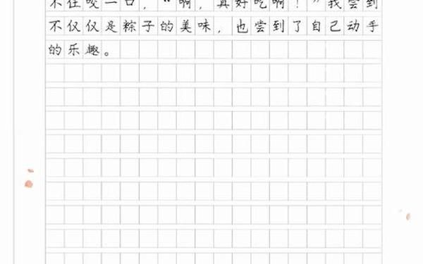 包粽子的过程描写—包粽子的作文300字左右