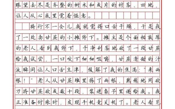 完美的谢幕(完美的谢幕作文600字)