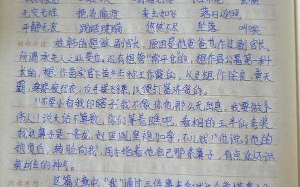 读书笔记摘抄100字-天之骄子摘抄及感悟