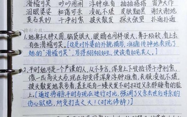 《童年》读书笔记摘抄—《童年笔记》二年级下册
