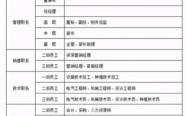 公司薪酬设计方案(公司工资标准制定方案)