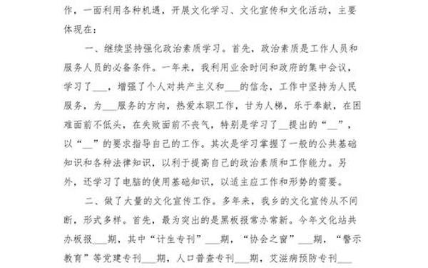 人事工作总结范文-站长个人工作总结
