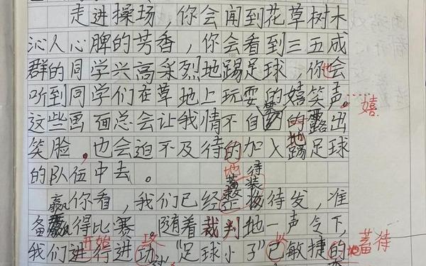 我的乐园300字作文;350字作文简单抄写