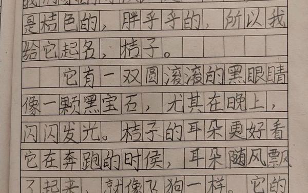 二年级写喜欢小动物的作文 你喜欢什么动物