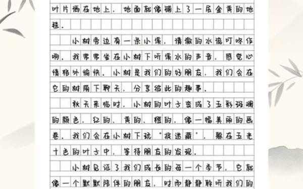 中国作文网官网登录,天天作文网app下载
