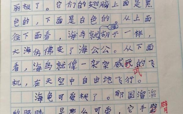 富饶的西沙群岛课后小练笔—西沙群岛课后图小练笔