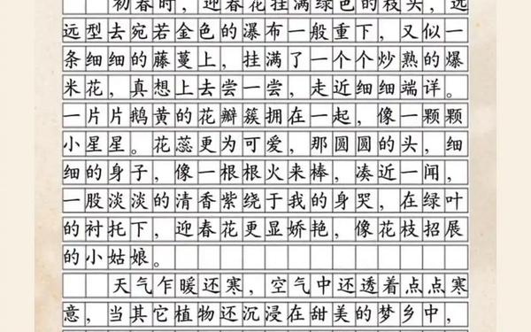 三年级下册作文我的植物朋友(我的植物朋友300个字)