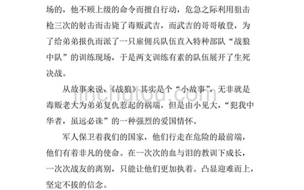 天狼读后感—战狼读后感500字作文