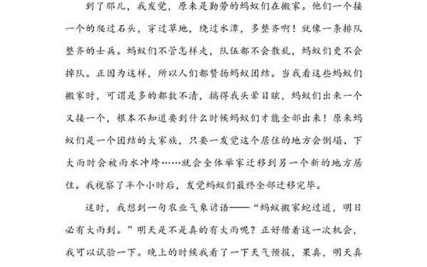 我是一只蚂蚁作文_三年级蚂蚁作文300字