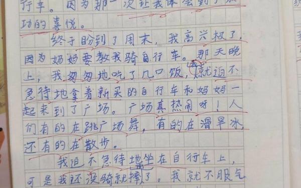 我成功了作文400字,假如我是一坨屎作文