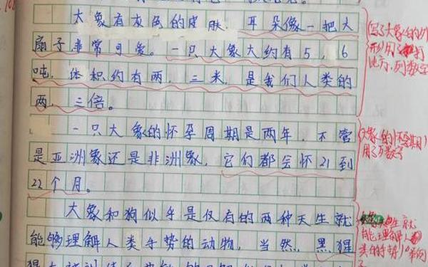 说明文范文—说明文80字左右