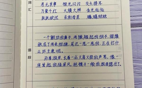 读书笔记100字;读书笔记100篇