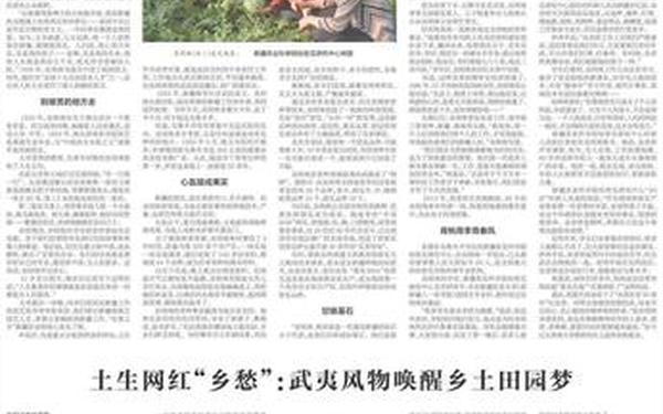 关于袁隆平的作文、以袁隆平为话题的作文