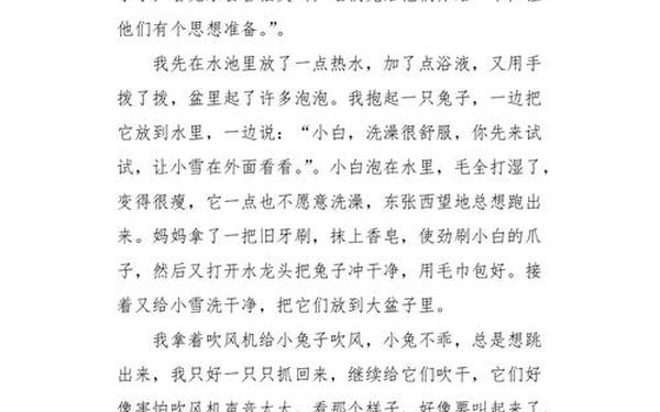 小兔子的作文300字;小兔子优秀作文300字左右