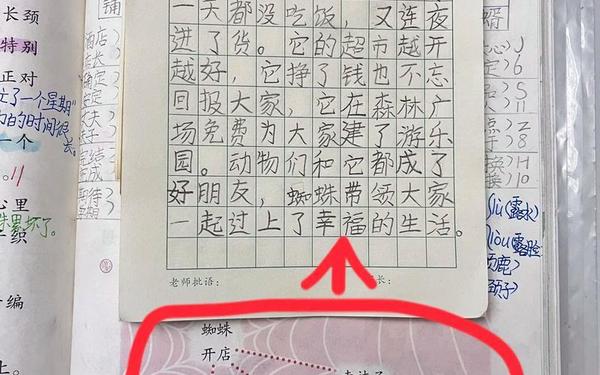 蜘蛛开店续编故事接下来会发生什么,蜘蛛开店讲一个小故事