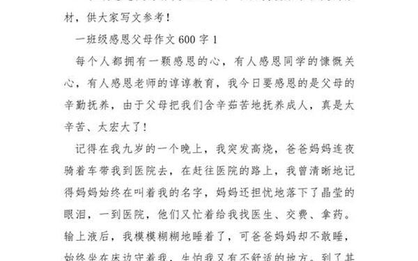 感恩父母的作文600字-励志的作文600字作文记叙文