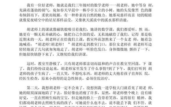 关于描写老师的作文、《老师》作文