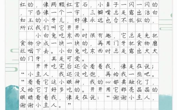 小学生作文400字左右(写兔子的作文400字四年级下册)