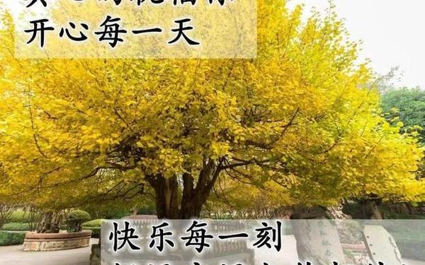 每日祝福短信-每天的祝福语在哪里找