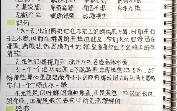 昆虫记精彩片段_《昆虫记》好段摘抄