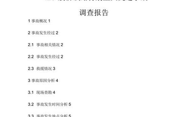 动车事故调查报告—11.28事故调查报告
