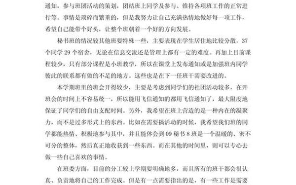 个人工作总结与未来展望、班干未来工作规划怎么写