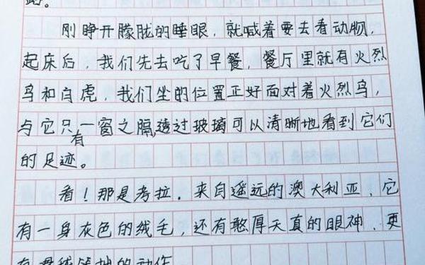 国庆见闻300字作文,见闻作文300字以上