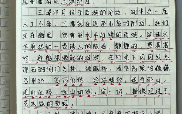 我的暑假生活作文300;假期趣事200字
