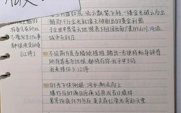 《破云》读后感作文 破云读后感600字作文