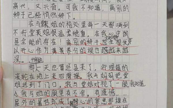 惜别经历小练笔_与人惜别的经历50字