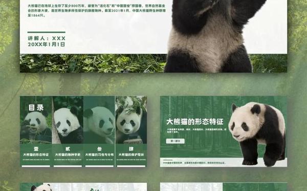 大熊猫的资料介绍—大熊猫的简单介绍和特点 大熊猫的资料介绍—大熊猫的简单介绍和特点