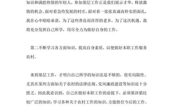 大学生村官个人总结;2024年村干部个人总结