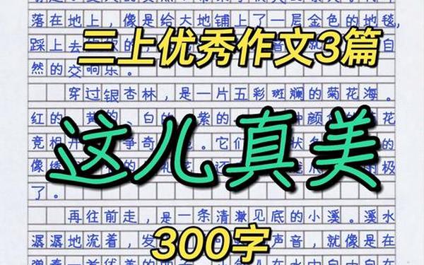 这儿真美作文300(假期看到的美景作文)