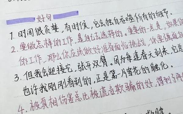 《追风筝的人》读书笔记,读书笔记摘抄感悟好词好句