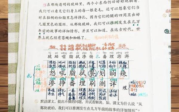 小学四年级语文教案、四年级课文琥珀