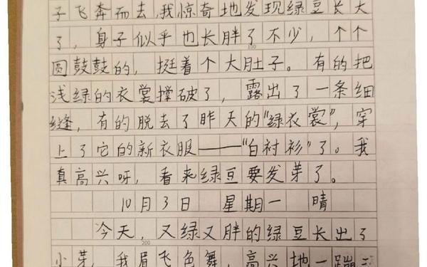 四年级优秀观察日记400字—观察日记作文400字左右四年级