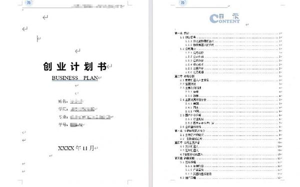 项目计划书代写(创新创业项目计划书)