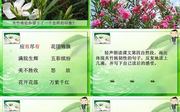 夹竹桃教学反思-竹子冒尖尖评课稿 夹竹桃教学反思-竹子冒尖尖评课稿