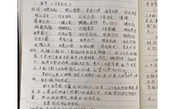 名人传读书笔记摘抄、名人传的好词好句,感悟