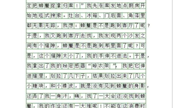关于暑假的作文300字左右(暑假作文450字左右)