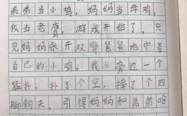 小学二年级写日记的格式,日记怎么写二年级下册格式