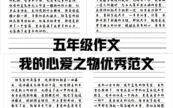 作文我的心爱之物,五年级上册作文我的心爱之物