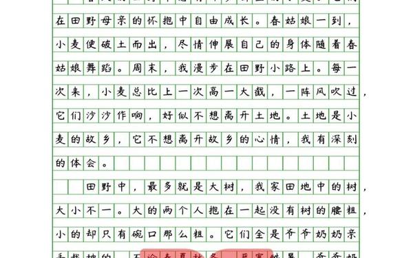 作文500字—抄一篇优秀作文500字