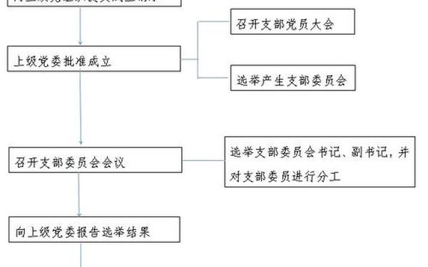 成立党支部的请示(支部成立的程序和步骤)