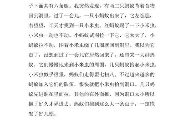 观察蚂蚁的作文300字;蚂蚁观察300字优秀作文免费